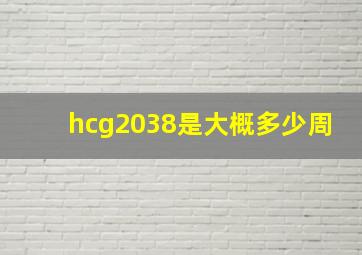 hcg2038是大概多少周