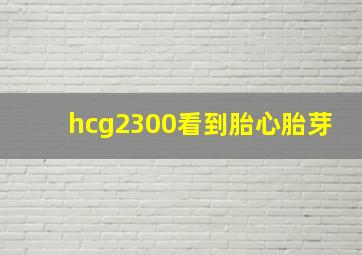 hcg2300看到胎心胎芽