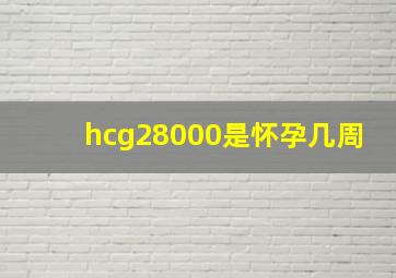 hcg28000是怀孕几周