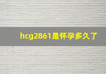 hcg2861是怀孕多久了