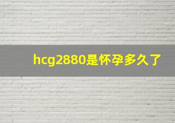 hcg2880是怀孕多久了