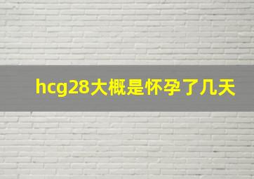 hcg28大概是怀孕了几天