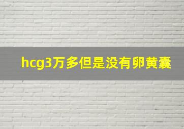 hcg3万多但是没有卵黄囊