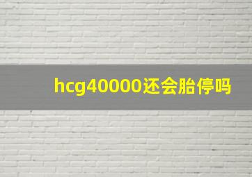 hcg40000还会胎停吗