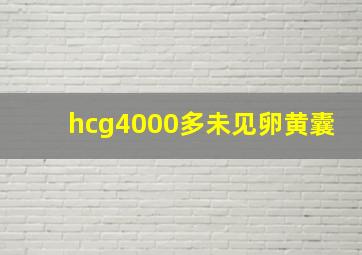 hcg4000多未见卵黄囊