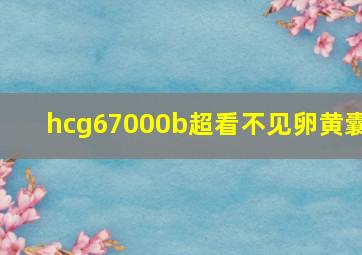 hcg67000b超看不见卵黄囊