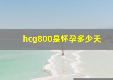 hcg800是怀孕多少天