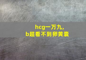 hcg一万九,b超看不到卵黄囊