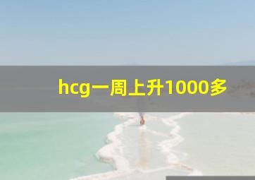 hcg一周上升1000多