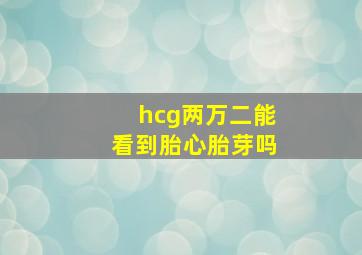 hcg两万二能看到胎心胎芽吗