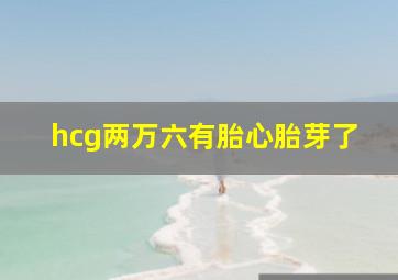 hcg两万六有胎心胎芽了