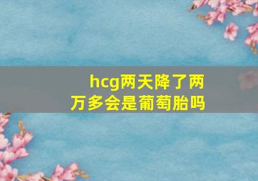 hcg两天降了两万多会是葡萄胎吗