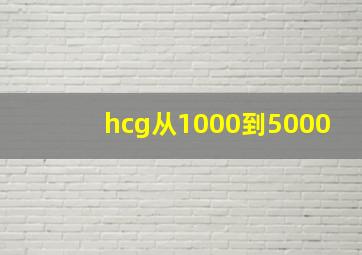 hcg从1000到5000