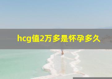 hcg值2万多是怀孕多久