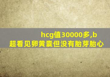 hcg值30000多,b超看见卵黄囊但没有胎芽胎心