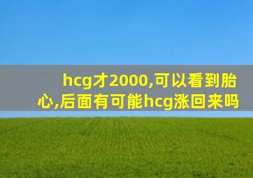 hcg才2000,可以看到胎心,后面有可能hcg涨回来吗