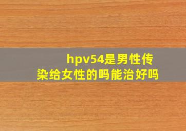 hpv54是男性传染给女性的吗能治好吗