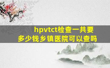 hpvtct检查一共要多少钱乡镇医院可以查吗