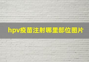 hpv疫苗注射哪里部位图片