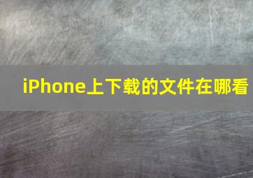 iPhone上下载的文件在哪看