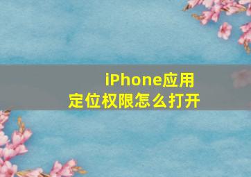 iPhone应用定位权限怎么打开