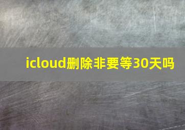 icloud删除非要等30天吗