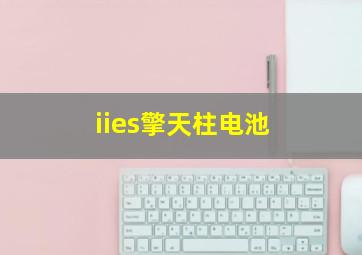 iies擎天柱电池