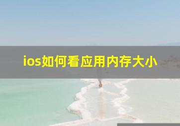 ios如何看应用内存大小