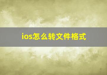 ios怎么转文件格式