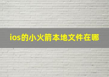 ios的小火箭本地文件在哪