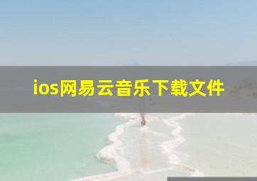 ios网易云音乐下载文件