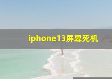 iphone13屏幕死机