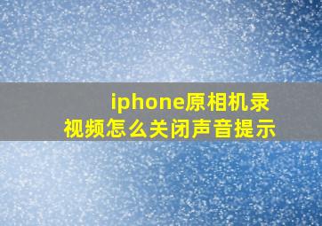 iphone原相机录视频怎么关闭声音提示