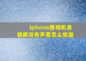 iphone原相机录视频没有声音怎么恢复