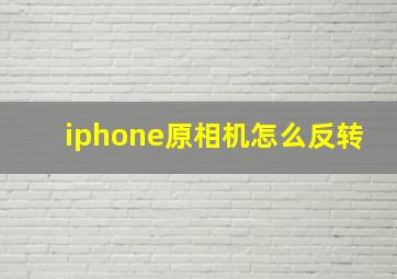 iphone原相机怎么反转