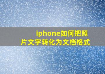 iphone如何把照片文字转化为文档格式