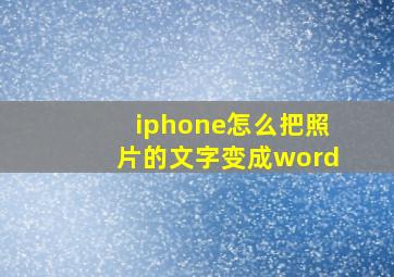 iphone怎么把照片的文字变成word