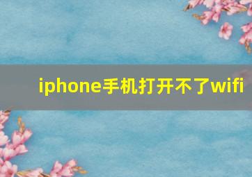 iphone手机打开不了wifi