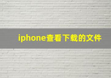 iphone查看下载的文件