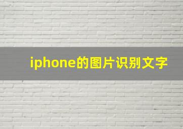 iphone的图片识别文字