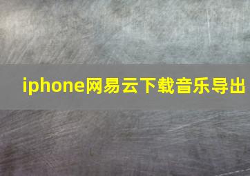 iphone网易云下载音乐导出