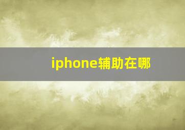 iphone辅助在哪