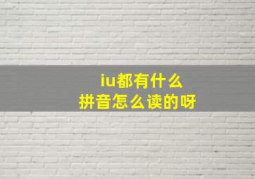 iu都有什么拼音怎么读的呀