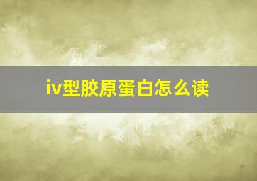 iv型胶原蛋白怎么读