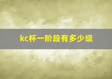 kc杯一阶段有多少级