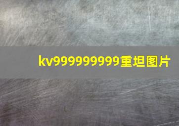 kv999999999重坦图片