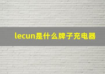 lecun是什么牌子充电器