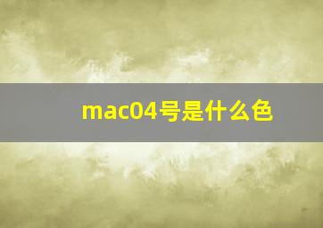 mac04号是什么色