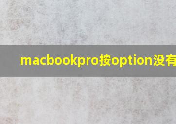 macbookpro按option没有启动