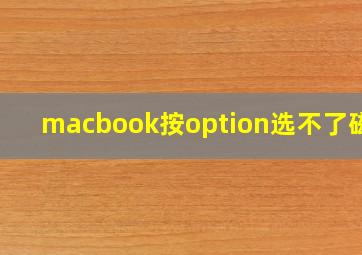 macbook按option选不了磁盘